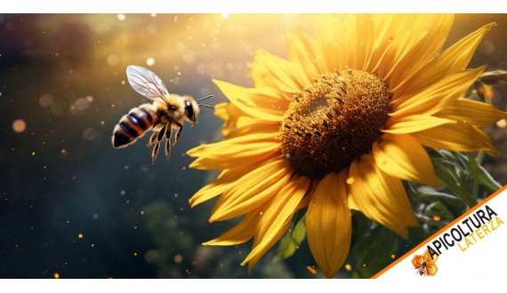 All Types of Bees: Characteristics, Species, and Importance for Beekeeping